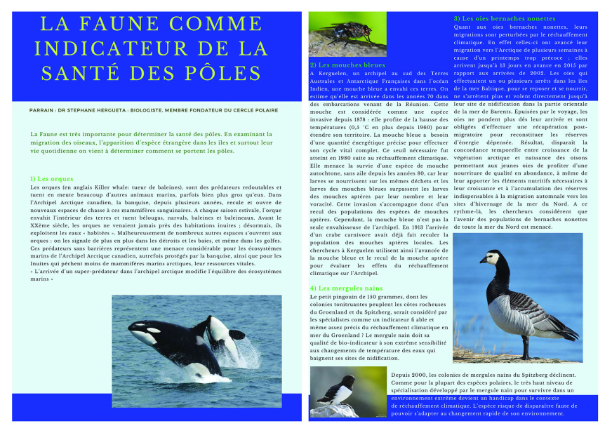 La faune comme indicateur de la santé des pôles